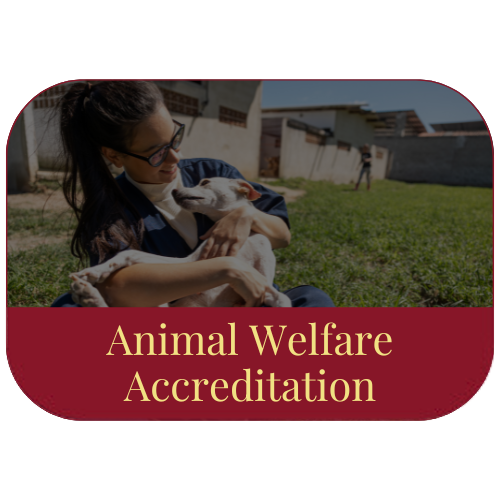 Animal Welfare Accreditation